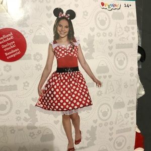 Minnie Mouse Costume